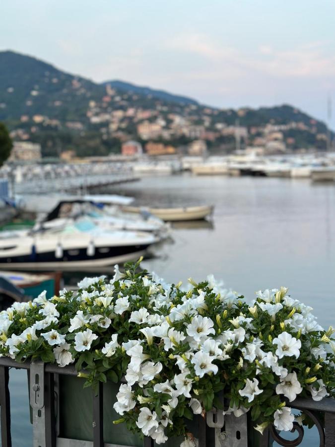 Town Flat Rapallo - Free Parking Exteriör bild